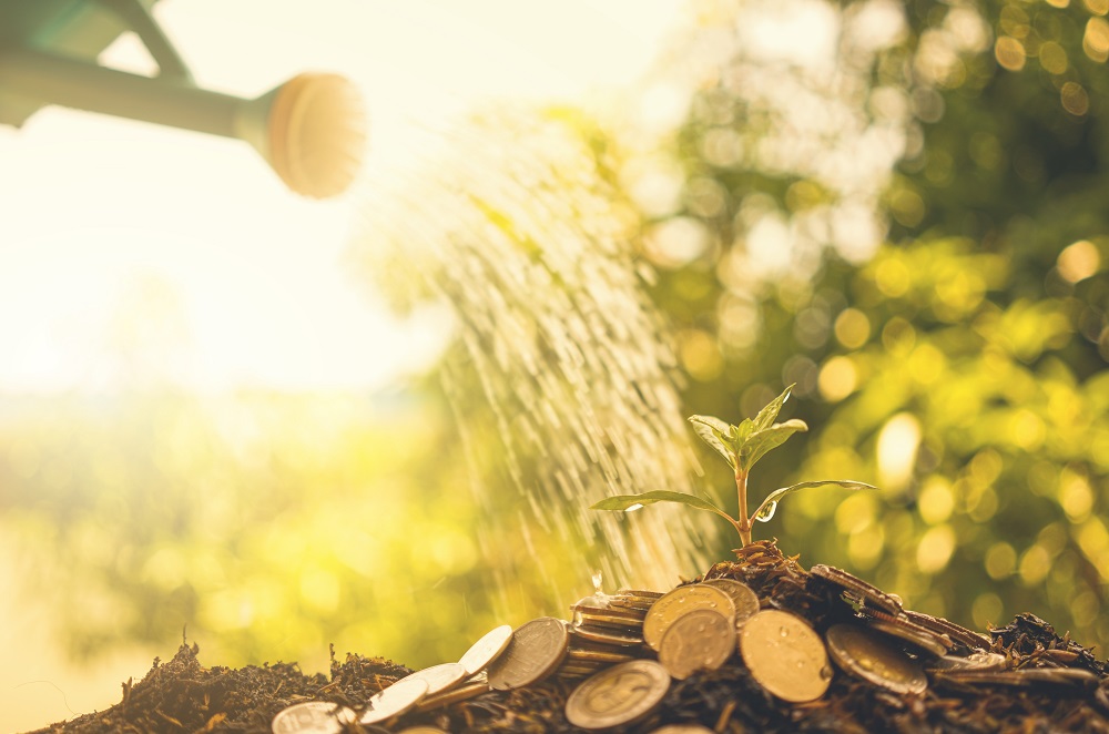 Human Watering The Money Tree . Profit Growth Concept.